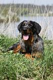 BEAUCERON 585